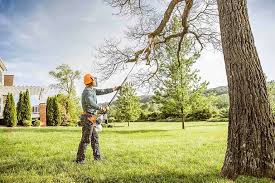  Palestine, IL Tree Removal and Landscaping Services Pros